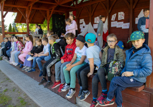 Zdjęcie 6 na 28