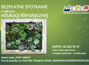 Bezpłatne warsztaty z edukacji klimatycznej – stwórz „Żywy obraz”